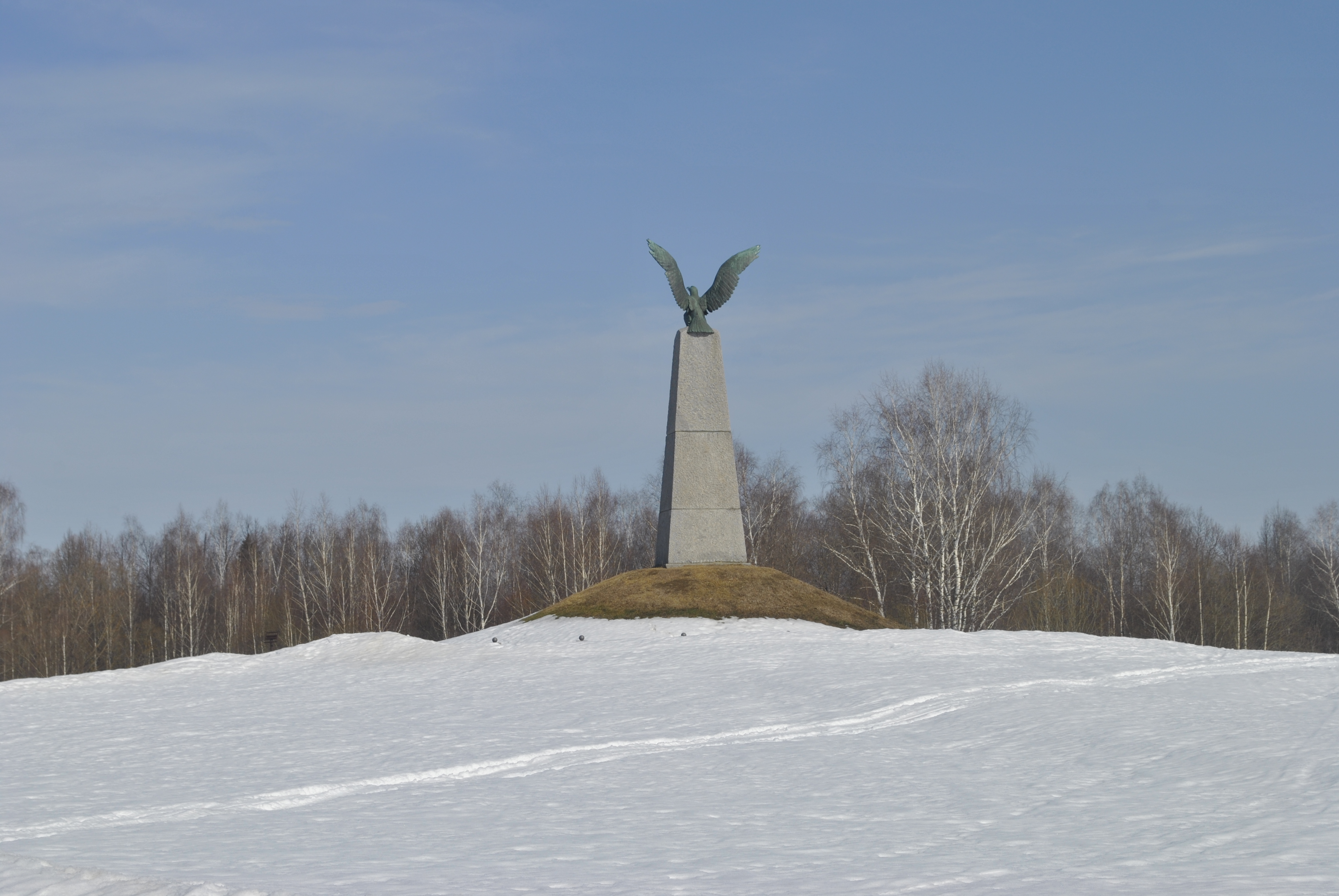 _DSC0498.JPG