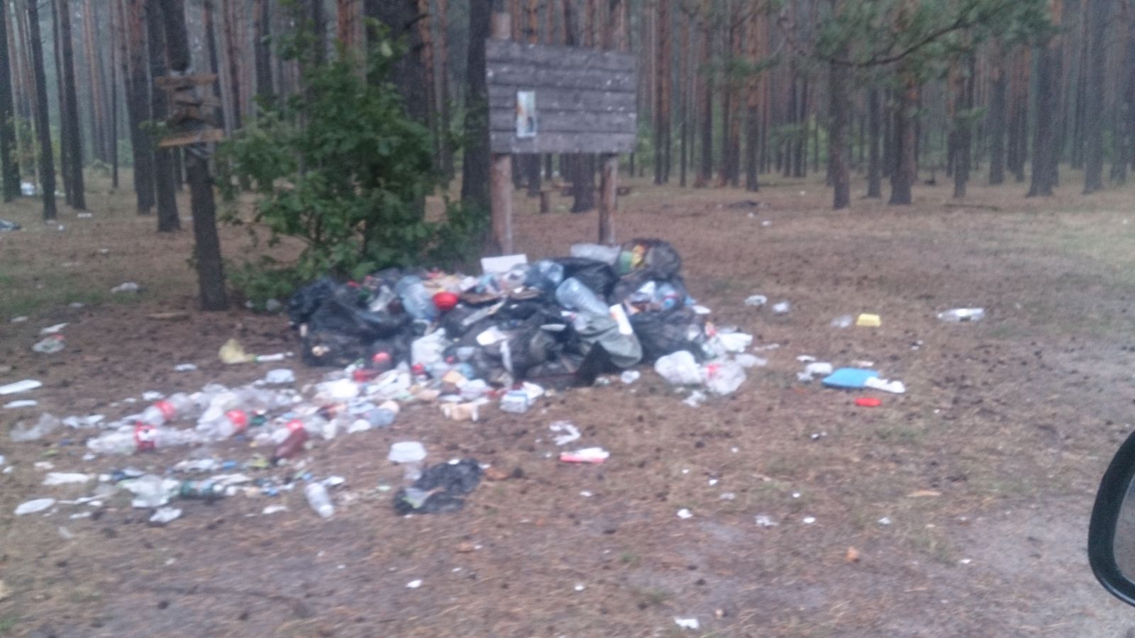Анциферово 08 014 0198