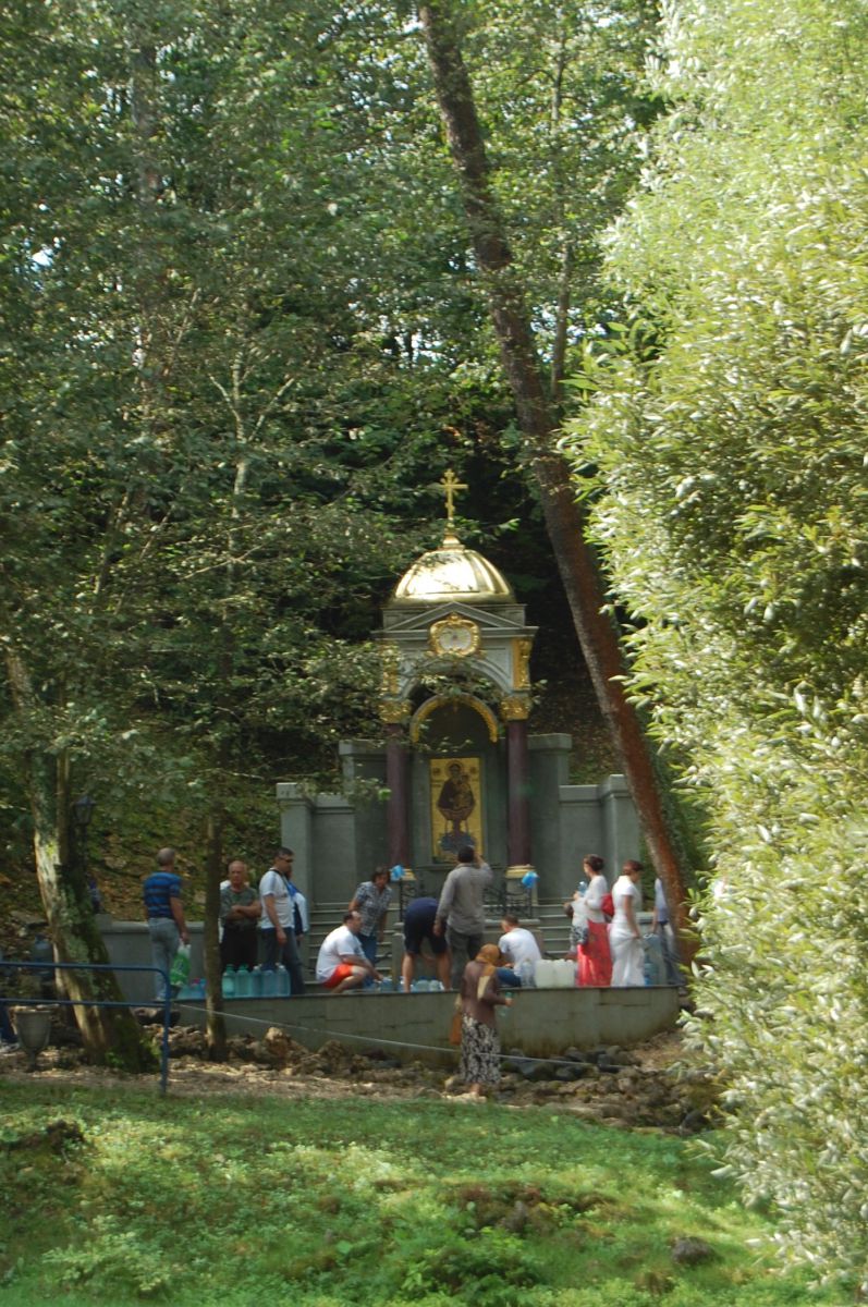 DSC 8885
