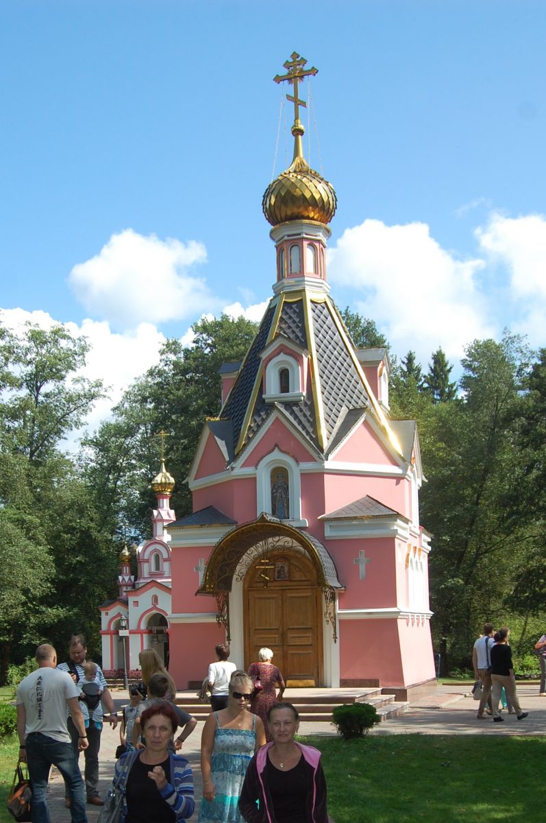 DSC 8891
