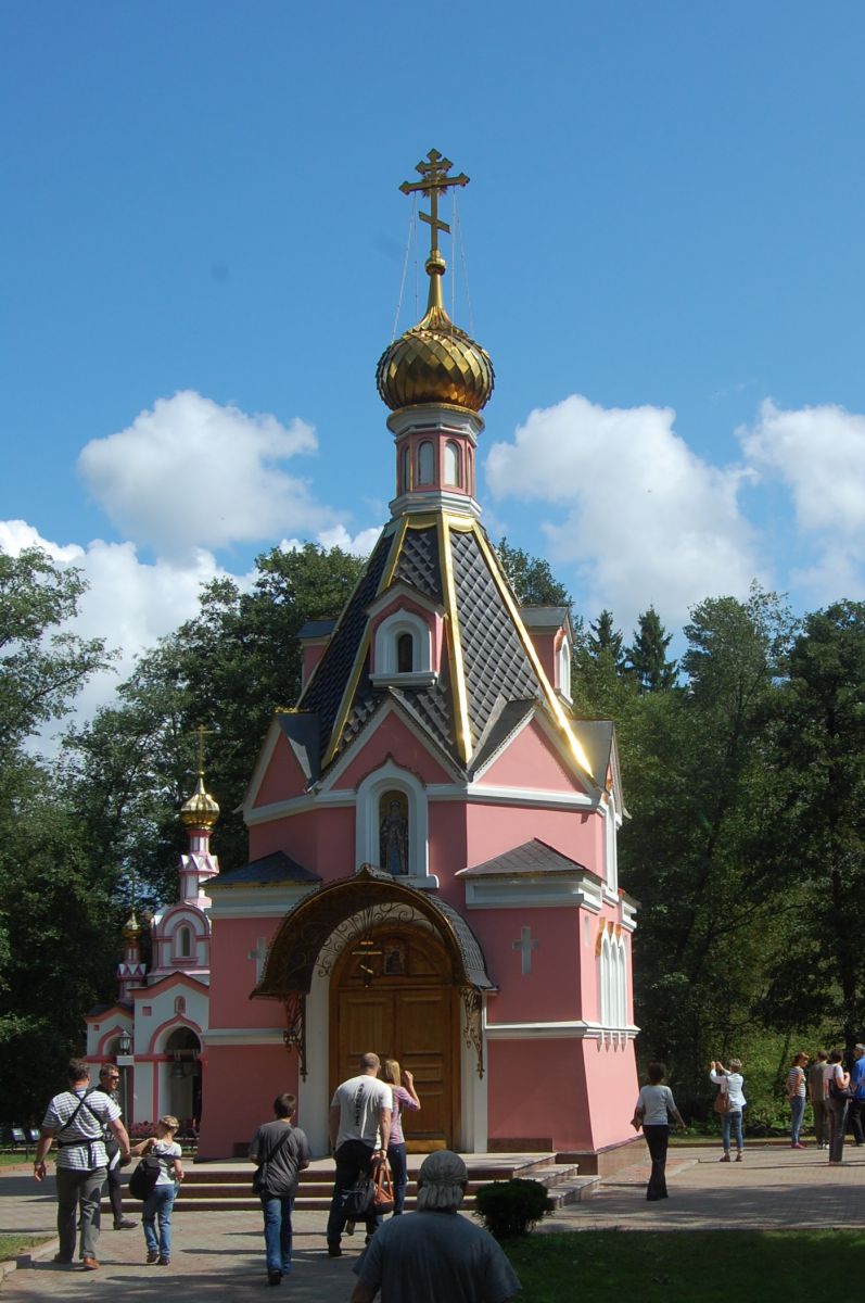 DSC 8892
