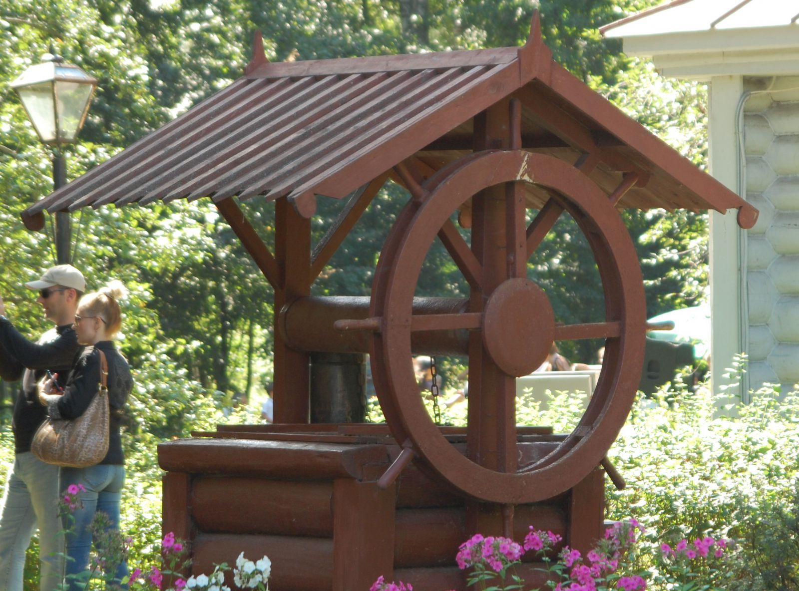 DSC 8955