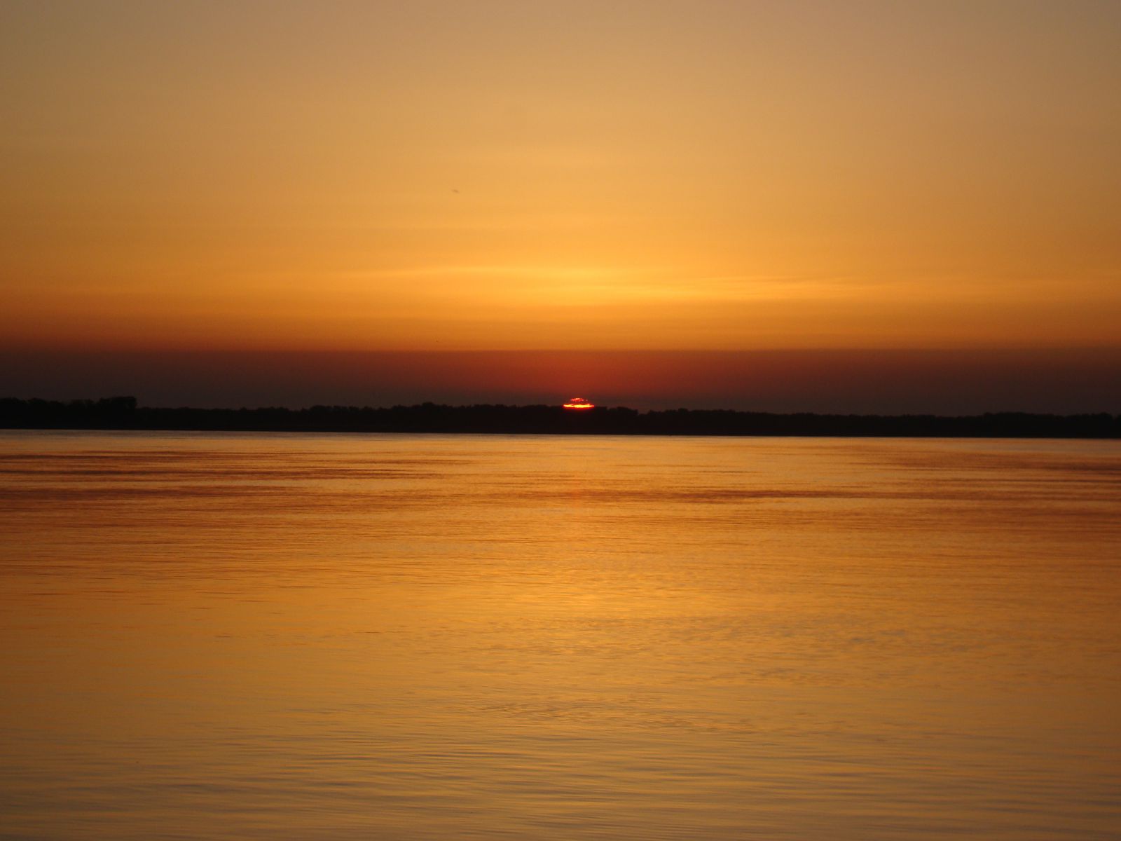 DSC01269