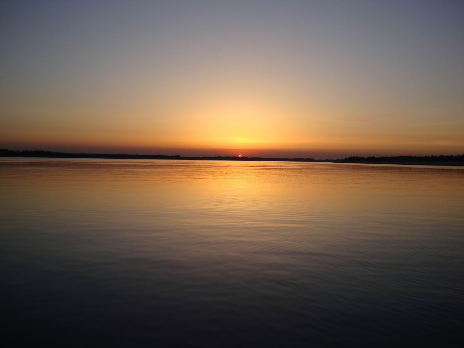 DSC01271