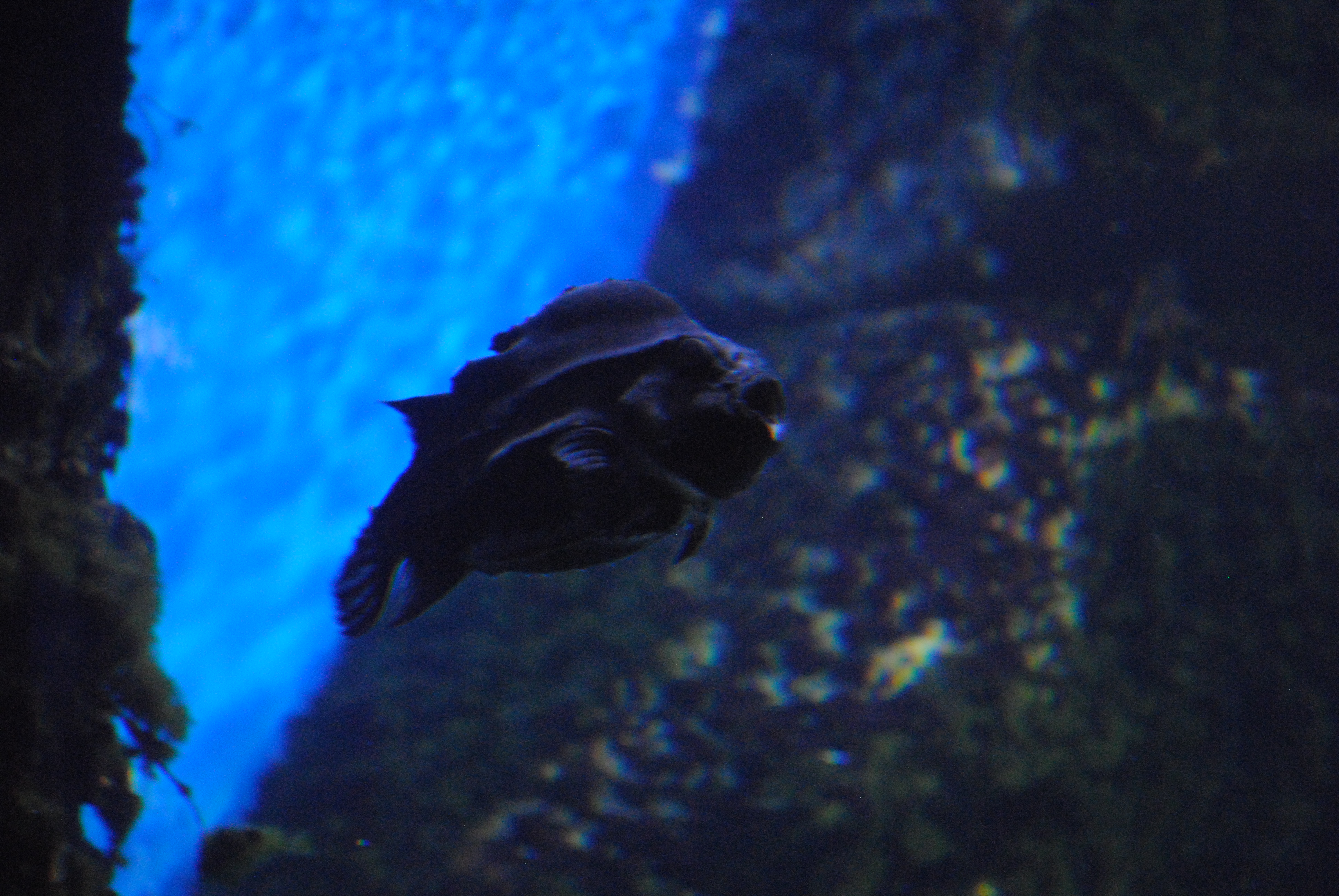 DSC_0295.JPG