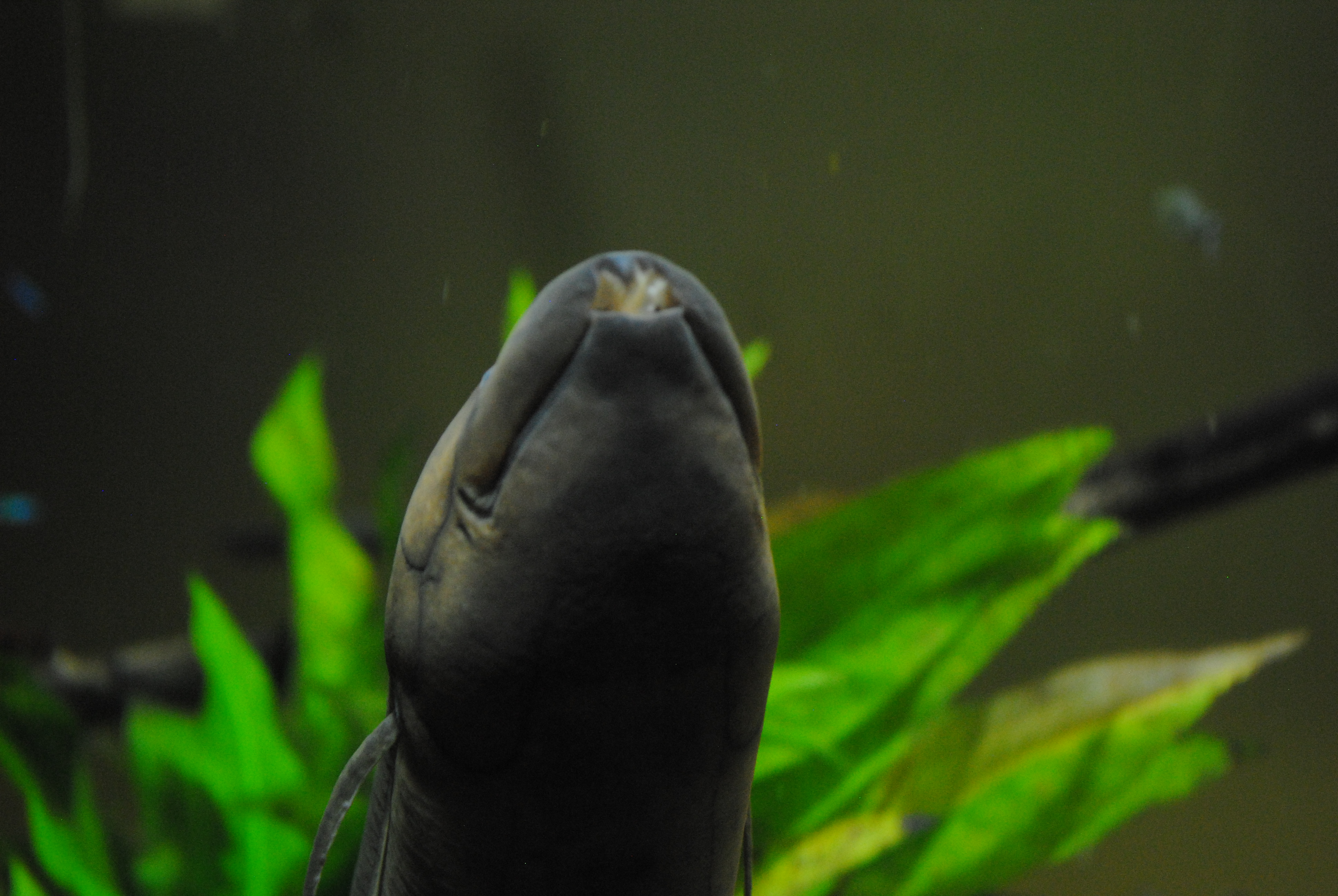DSC_0379.JPG