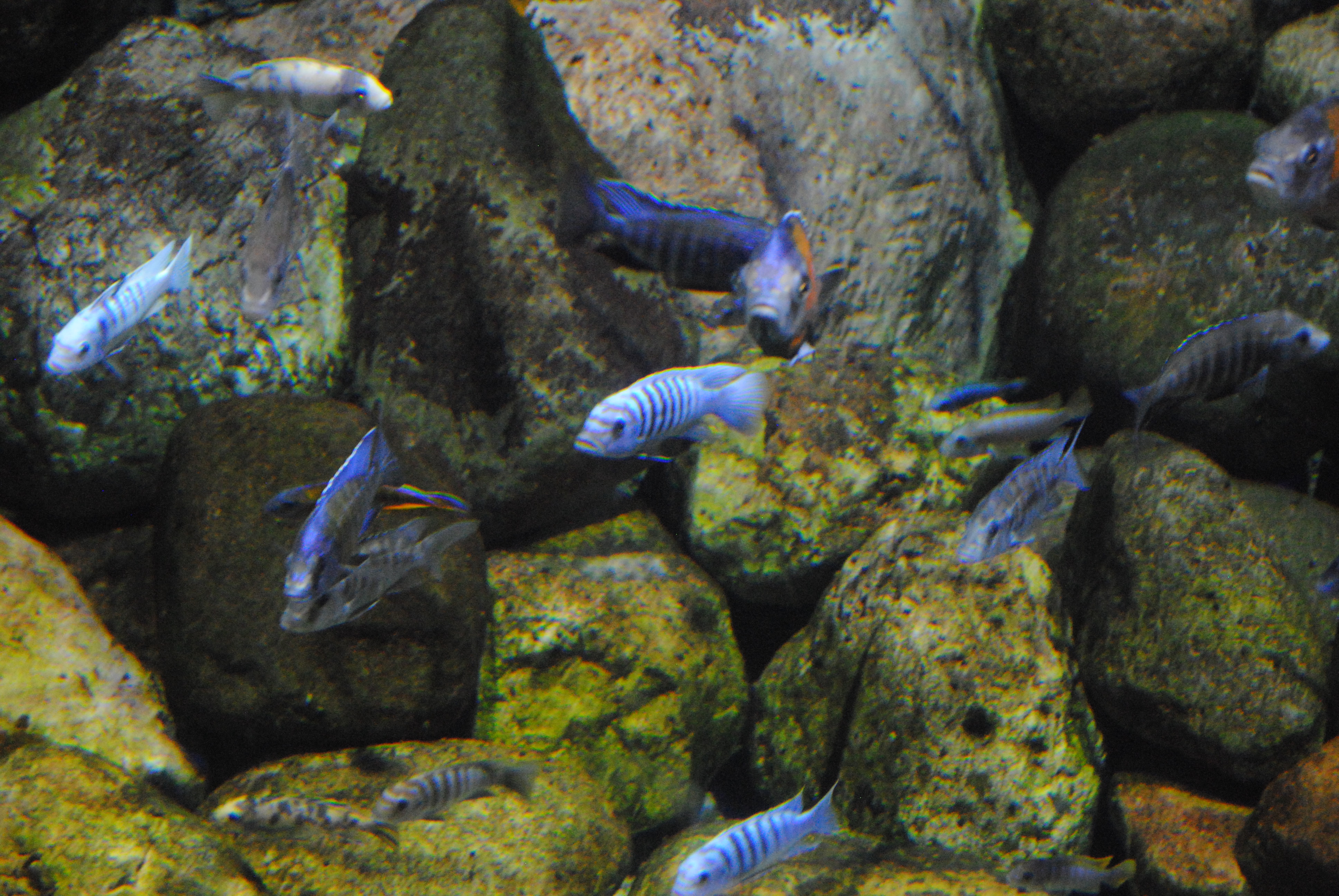 DSC_0389.JPG