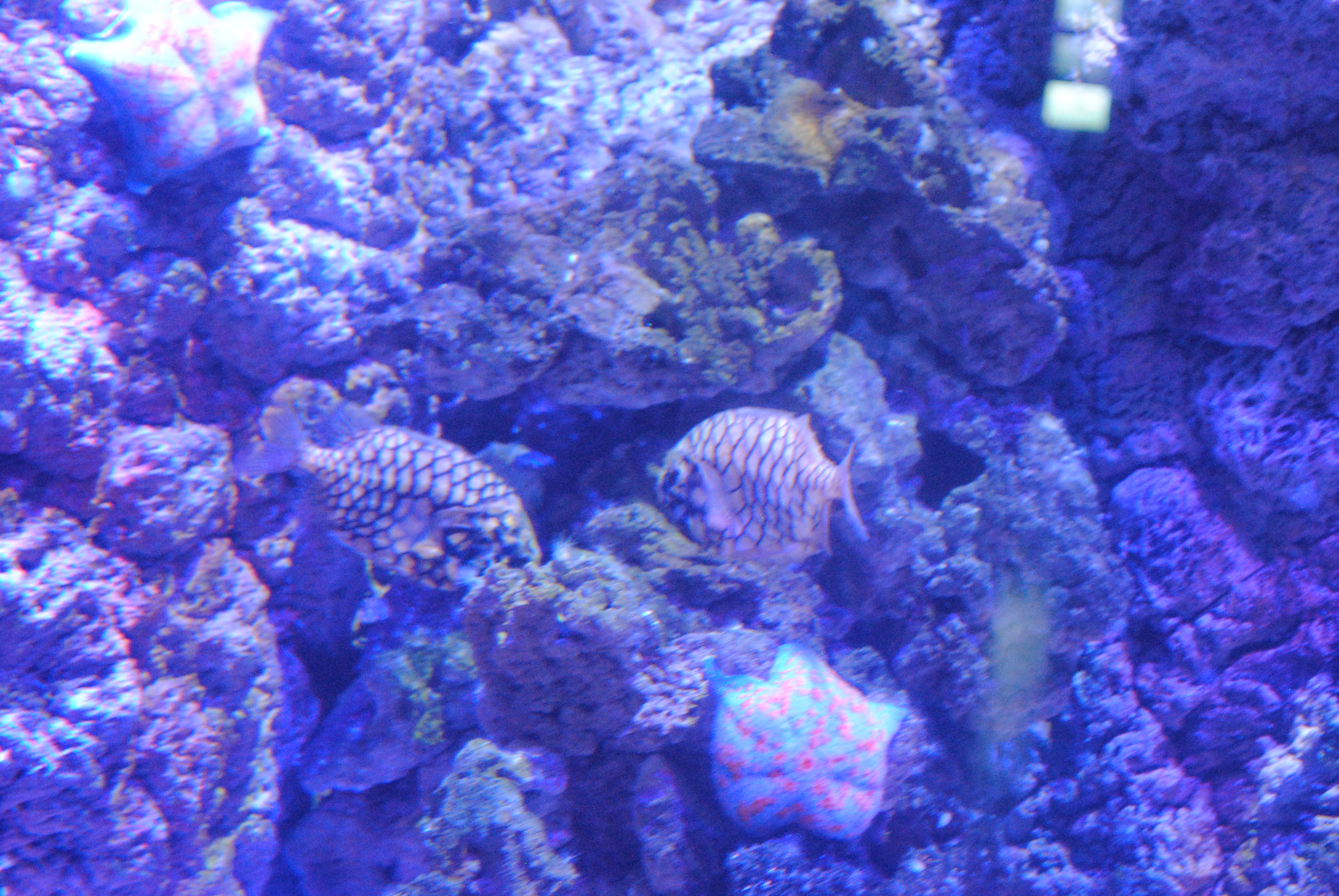 DSC_0419.JPG