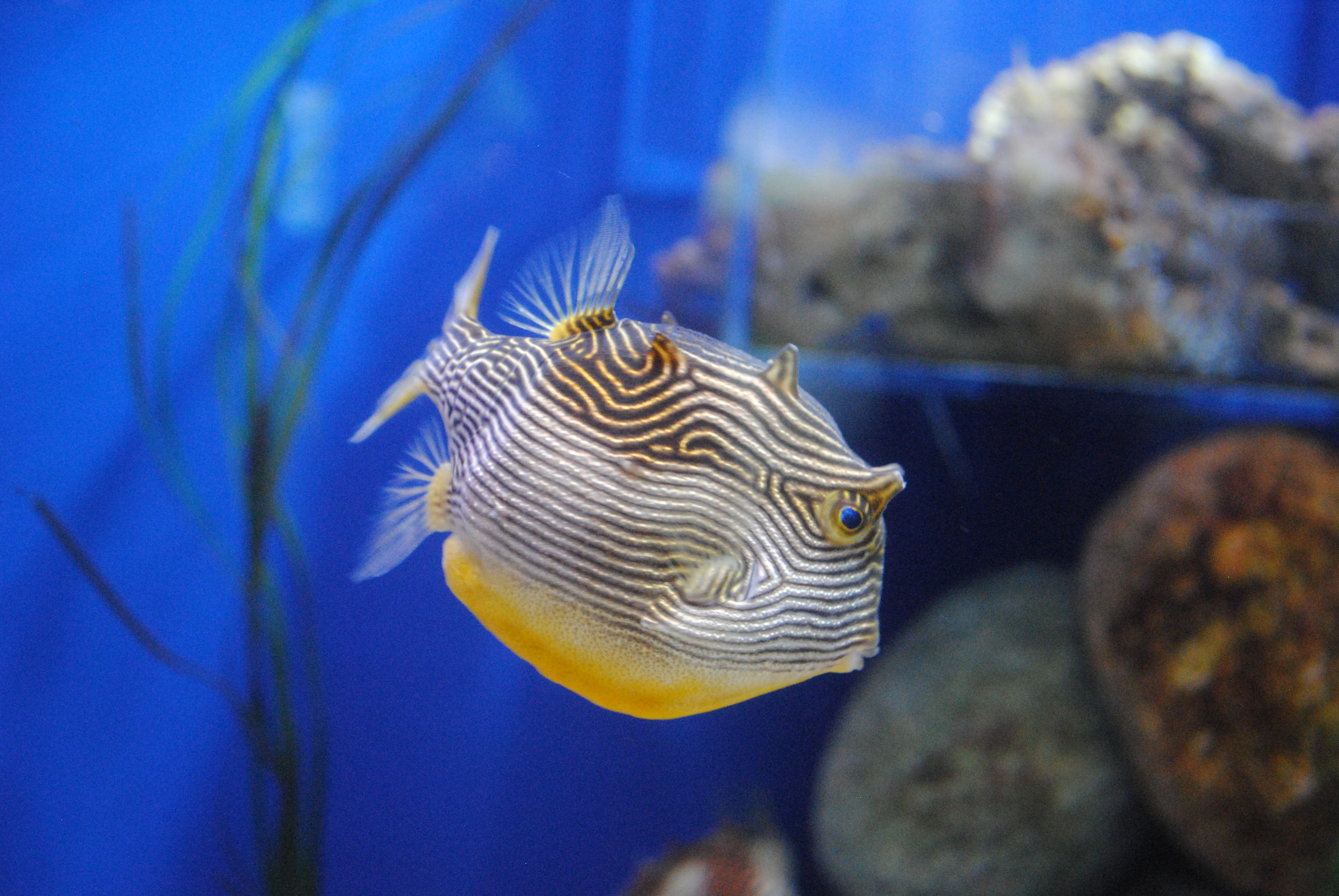 DSC_0446.JPG