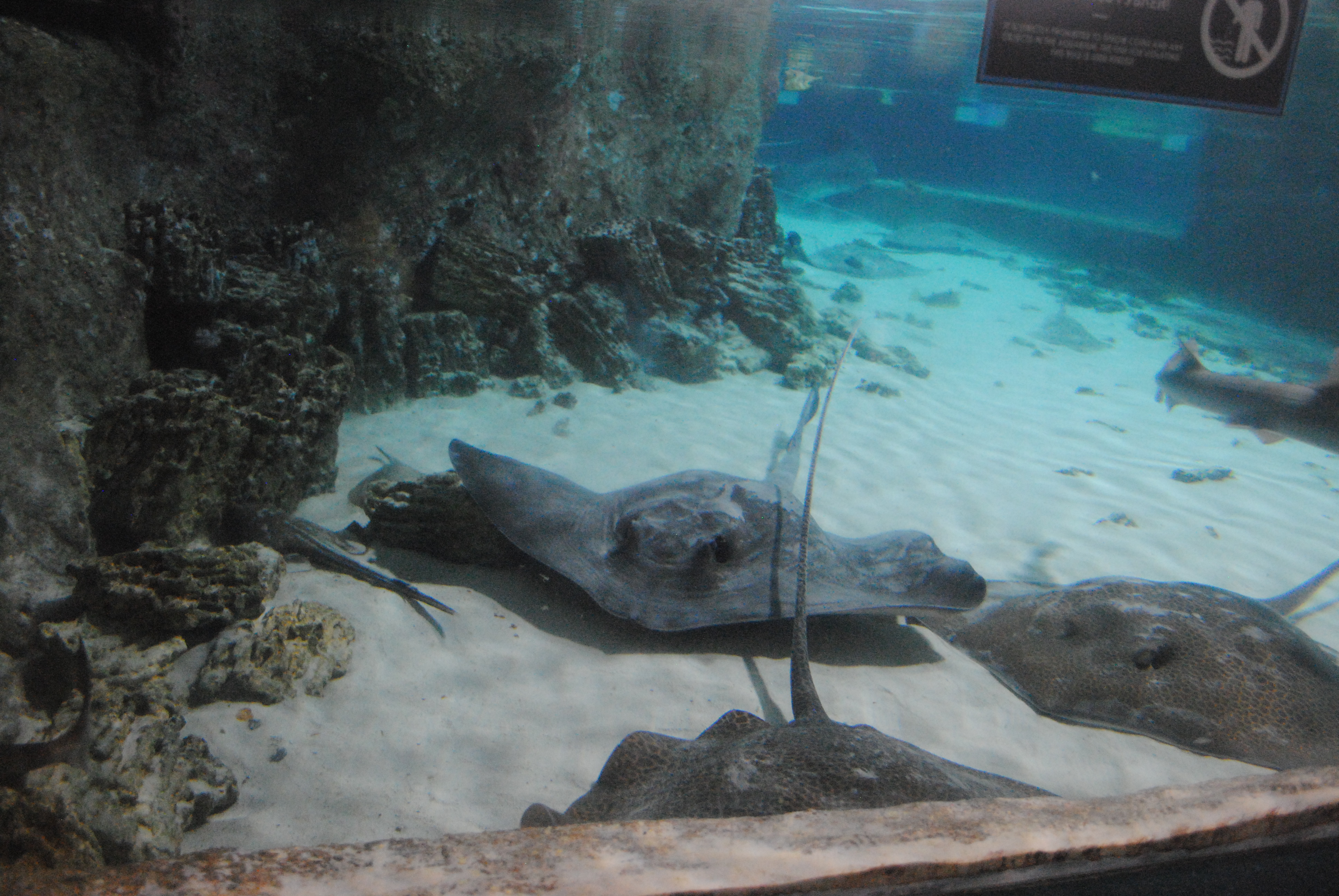 DSC_0472.JPG
