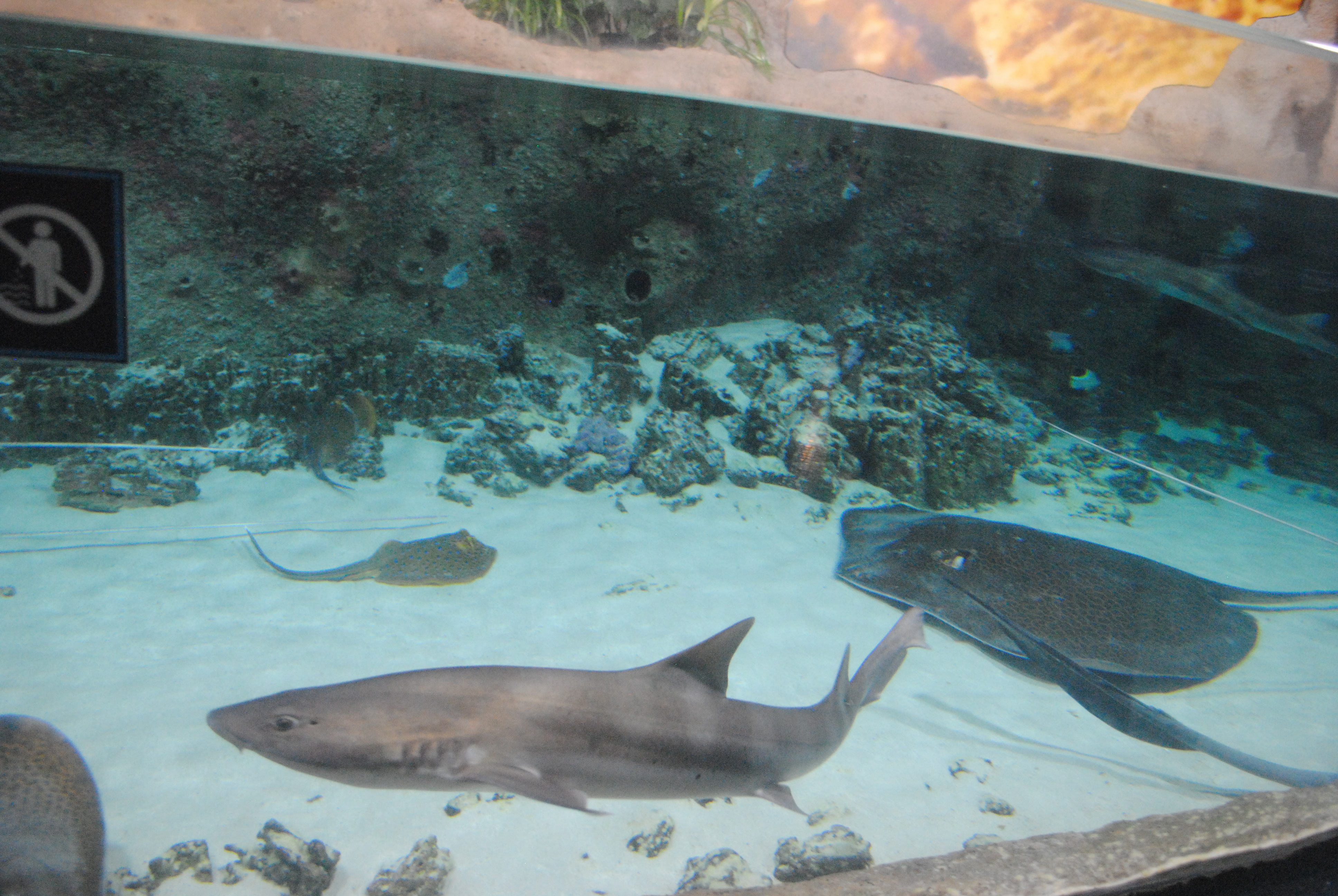 DSC_0484.JPG