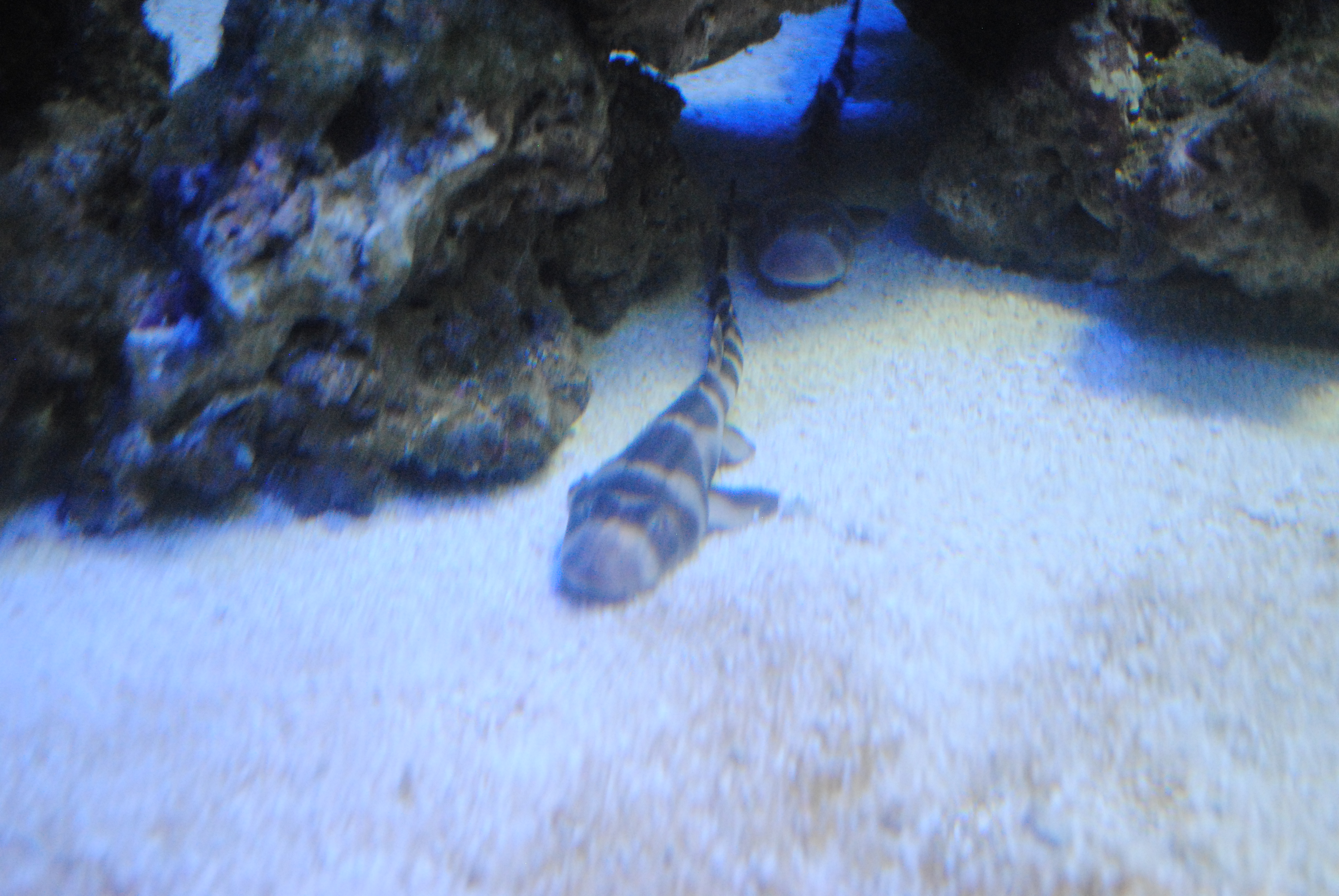 DSC_0495.JPG