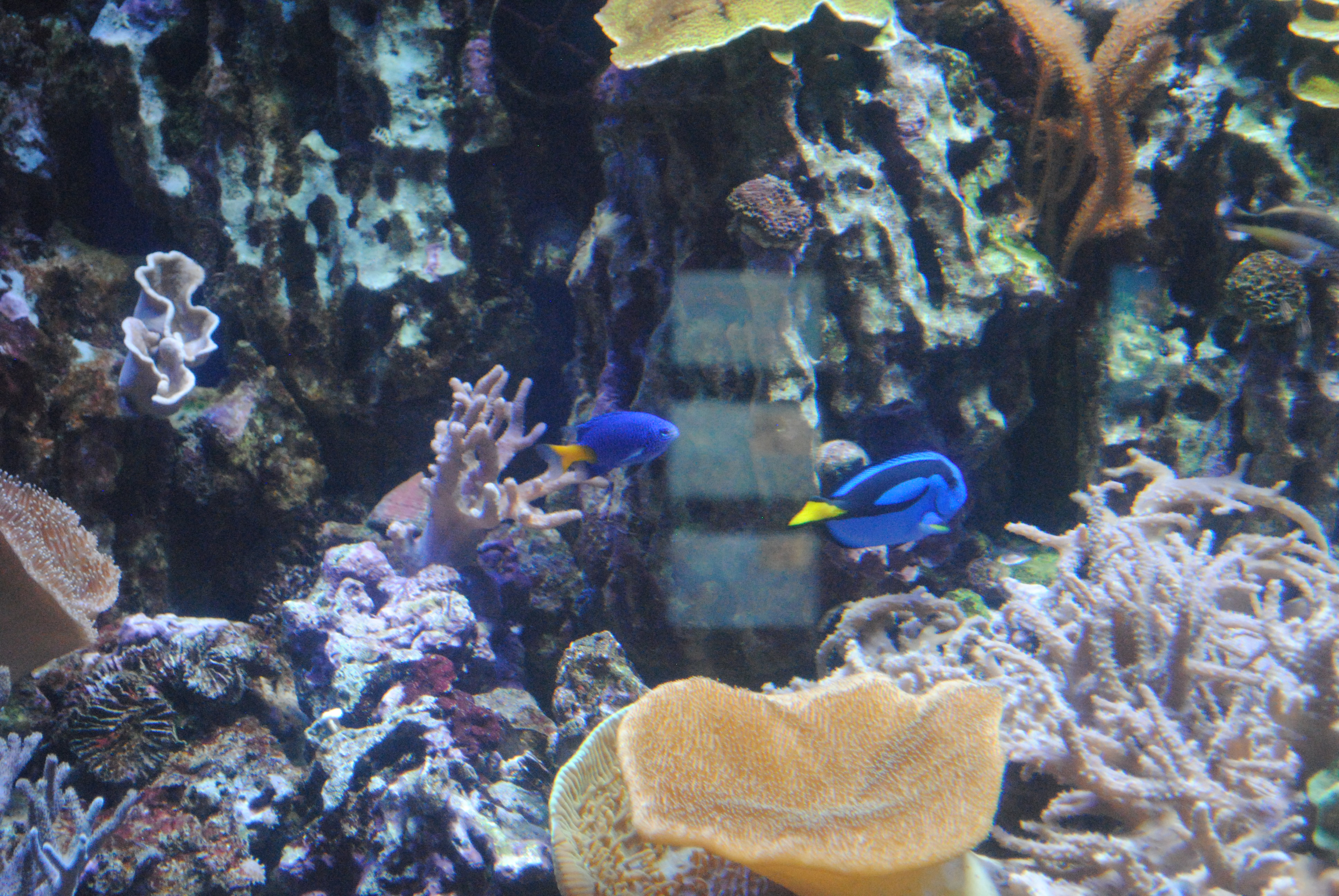 DSC_0503.JPG