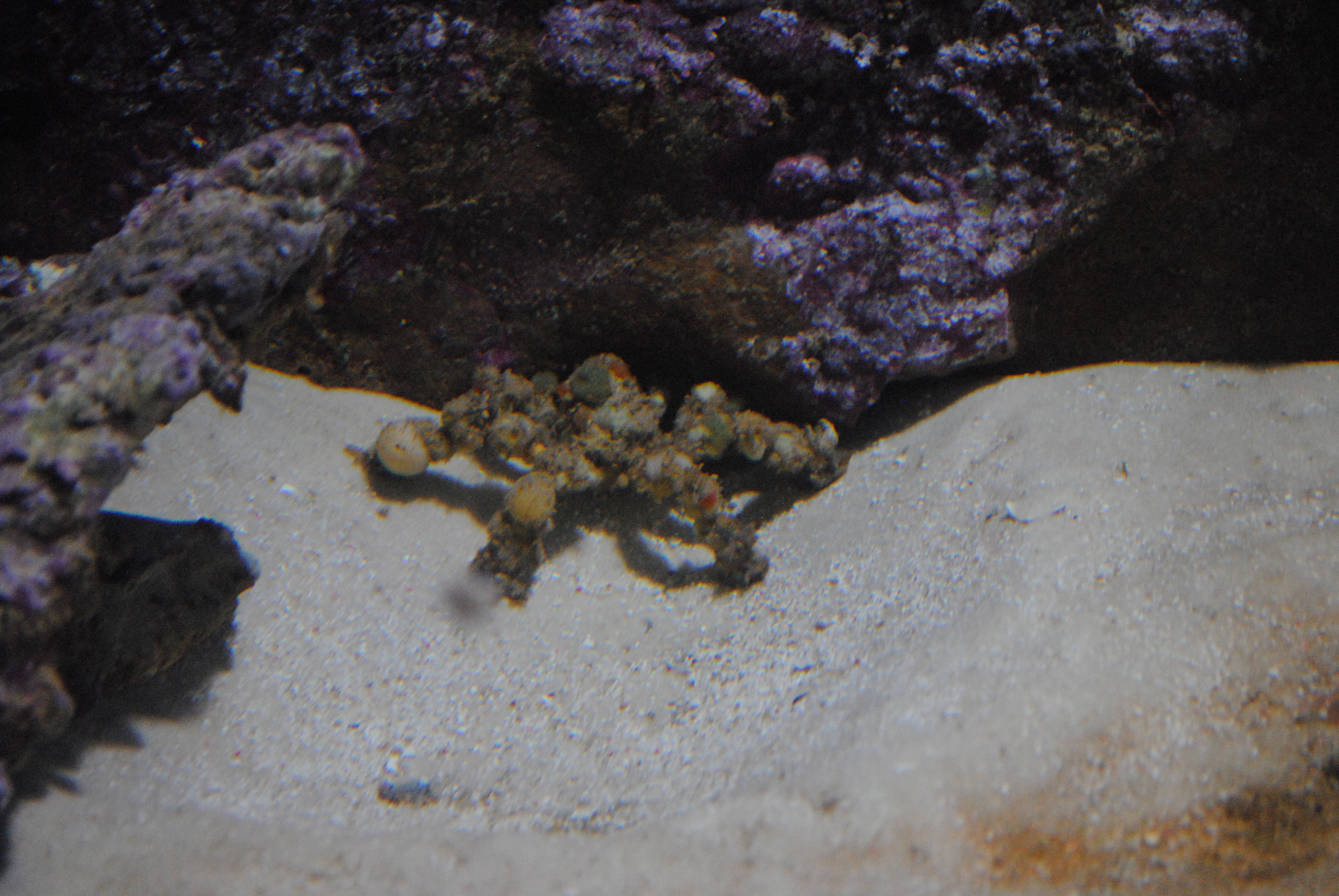 DSC_0516.JPG