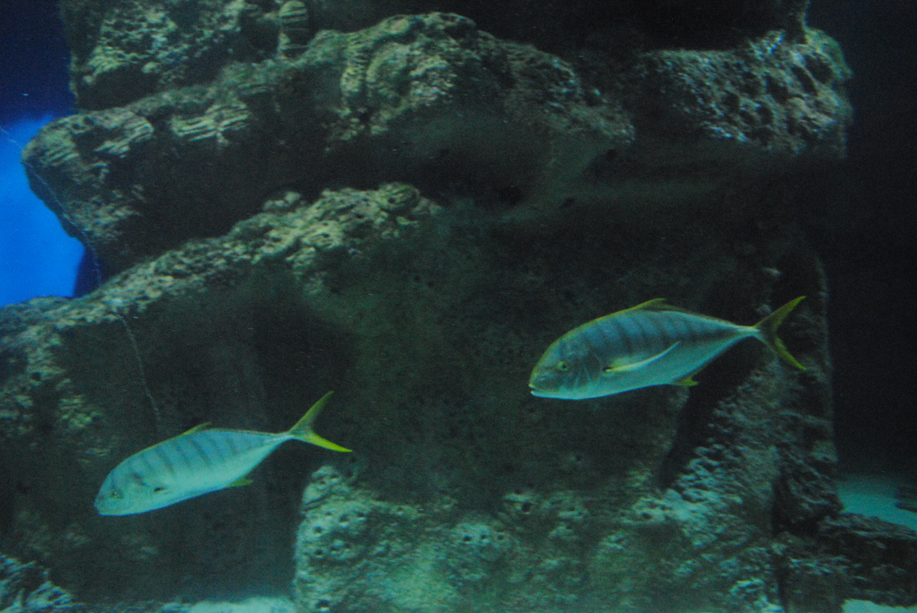 DSC_0556.JPG