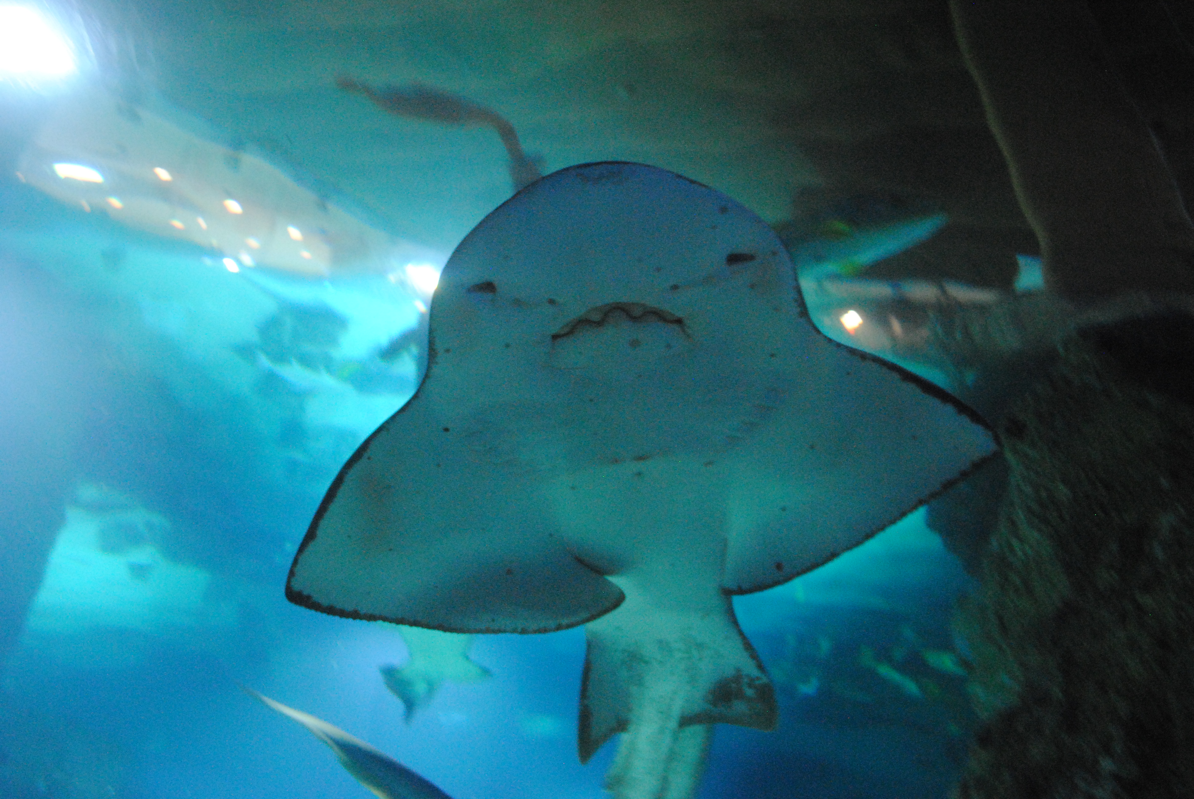 DSC_0588.JPG
