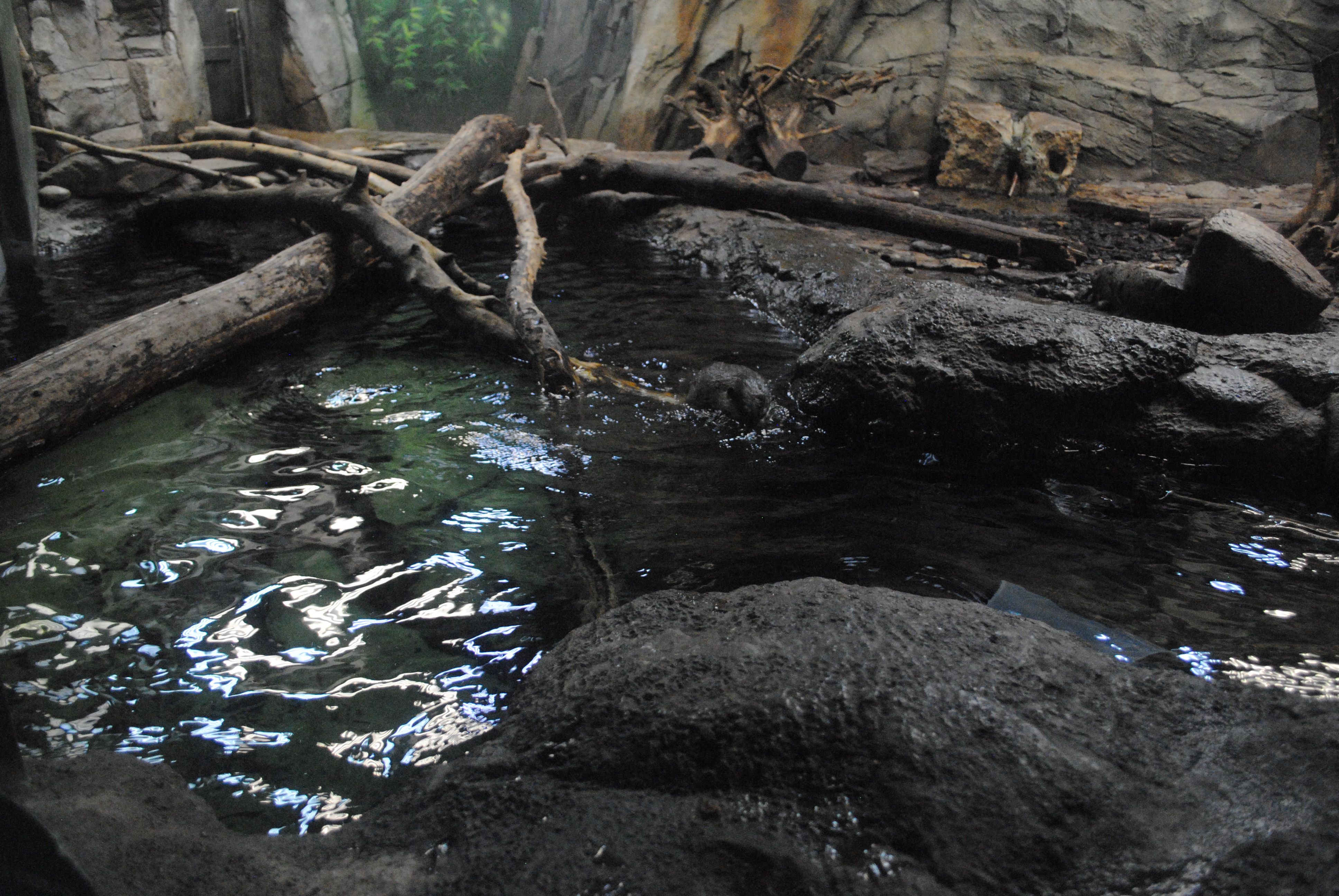 DSC_0604.JPG