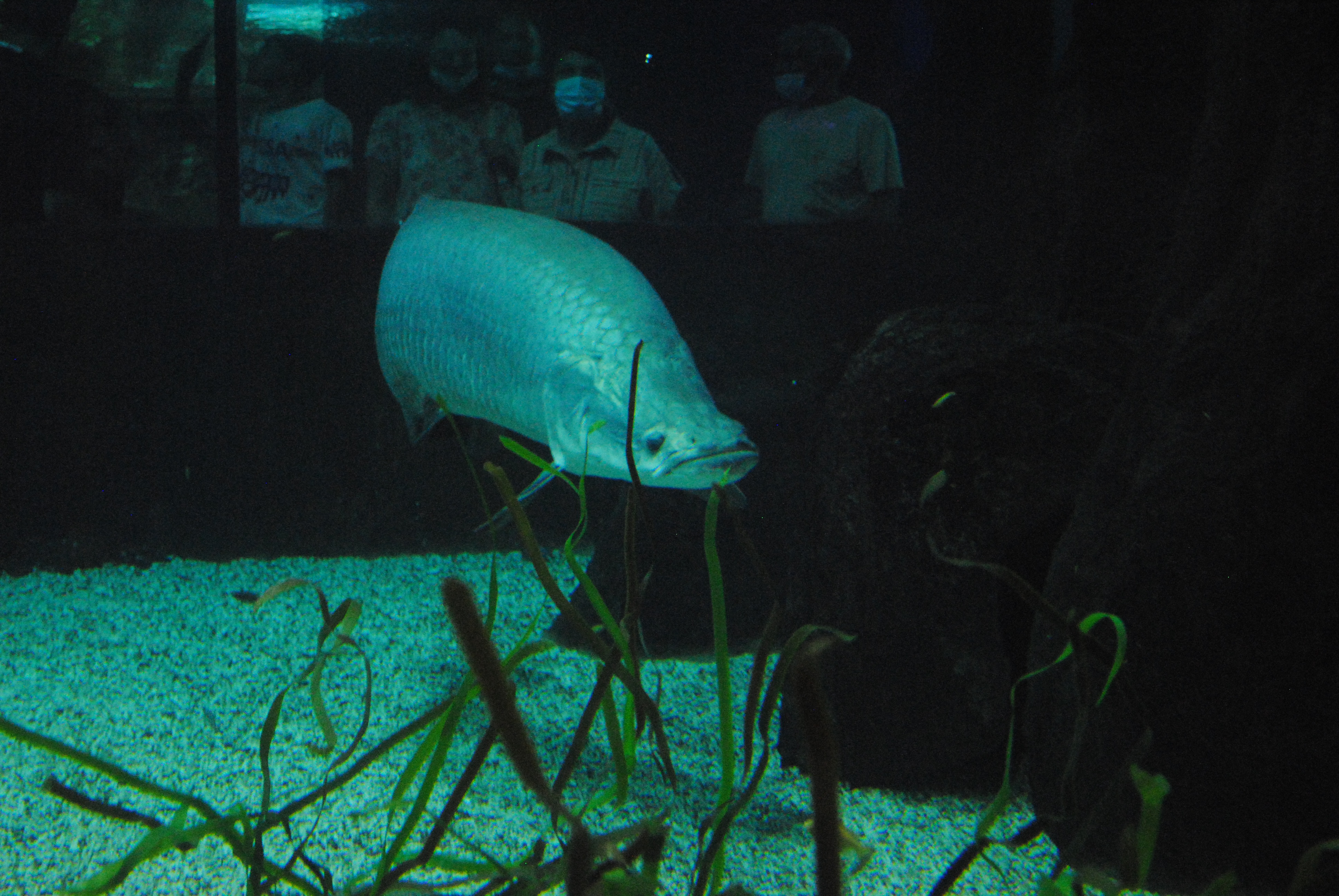 DSC_0633.JPG