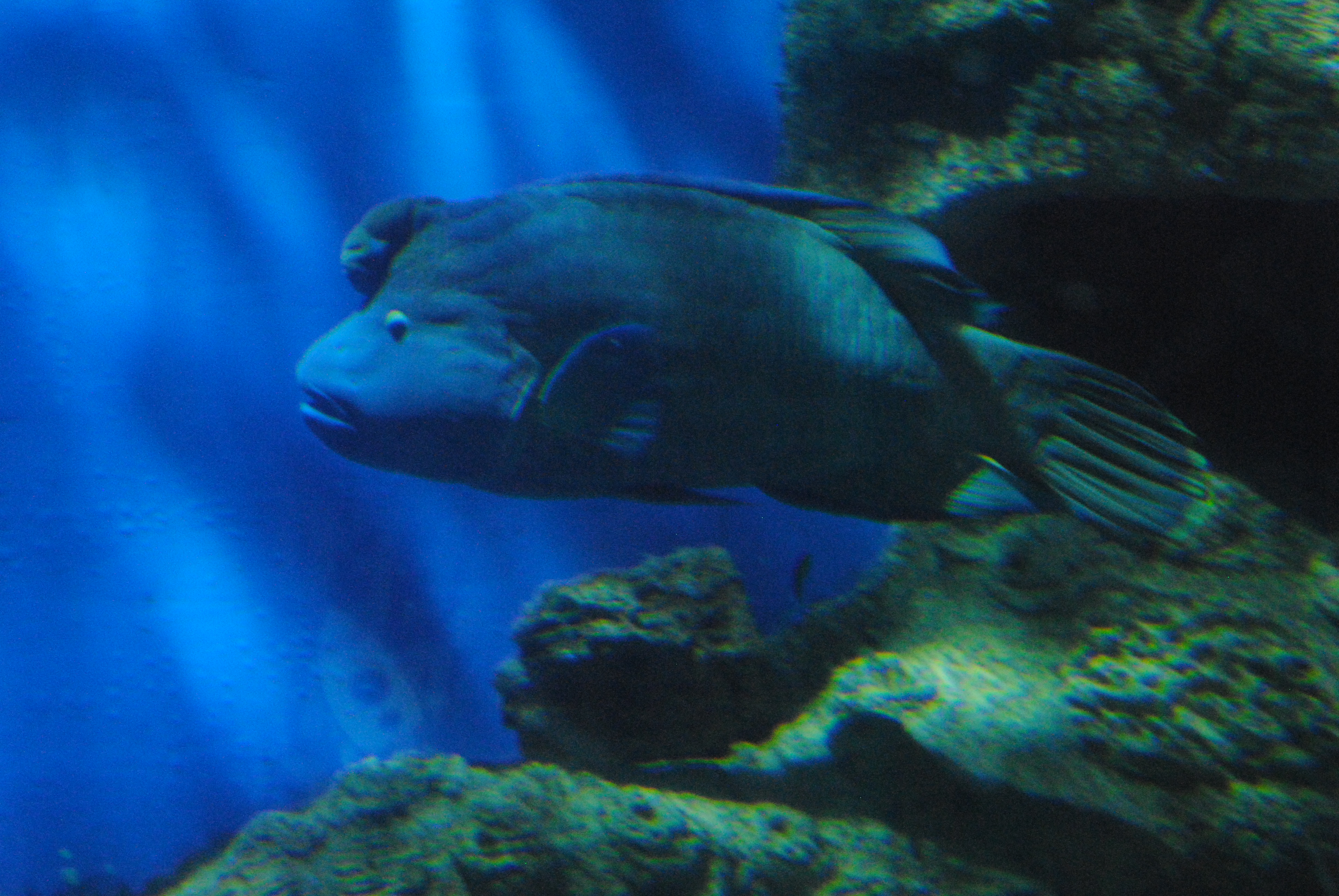 DSC_0639.JPG