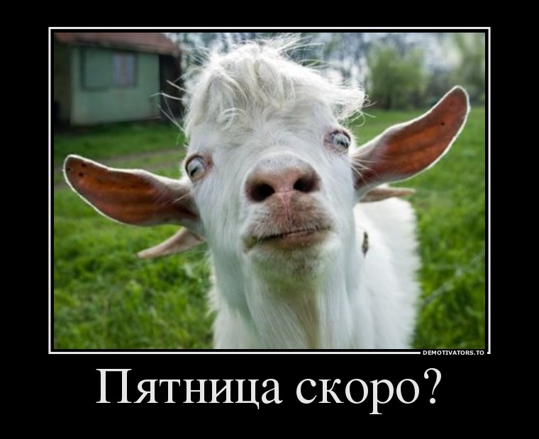 Пятница